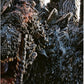 Godzilla Minus One Deluxe Limited Edition Anime Ltd 4K UHD/Blu-Ray Box Set [PRE-ORDER]