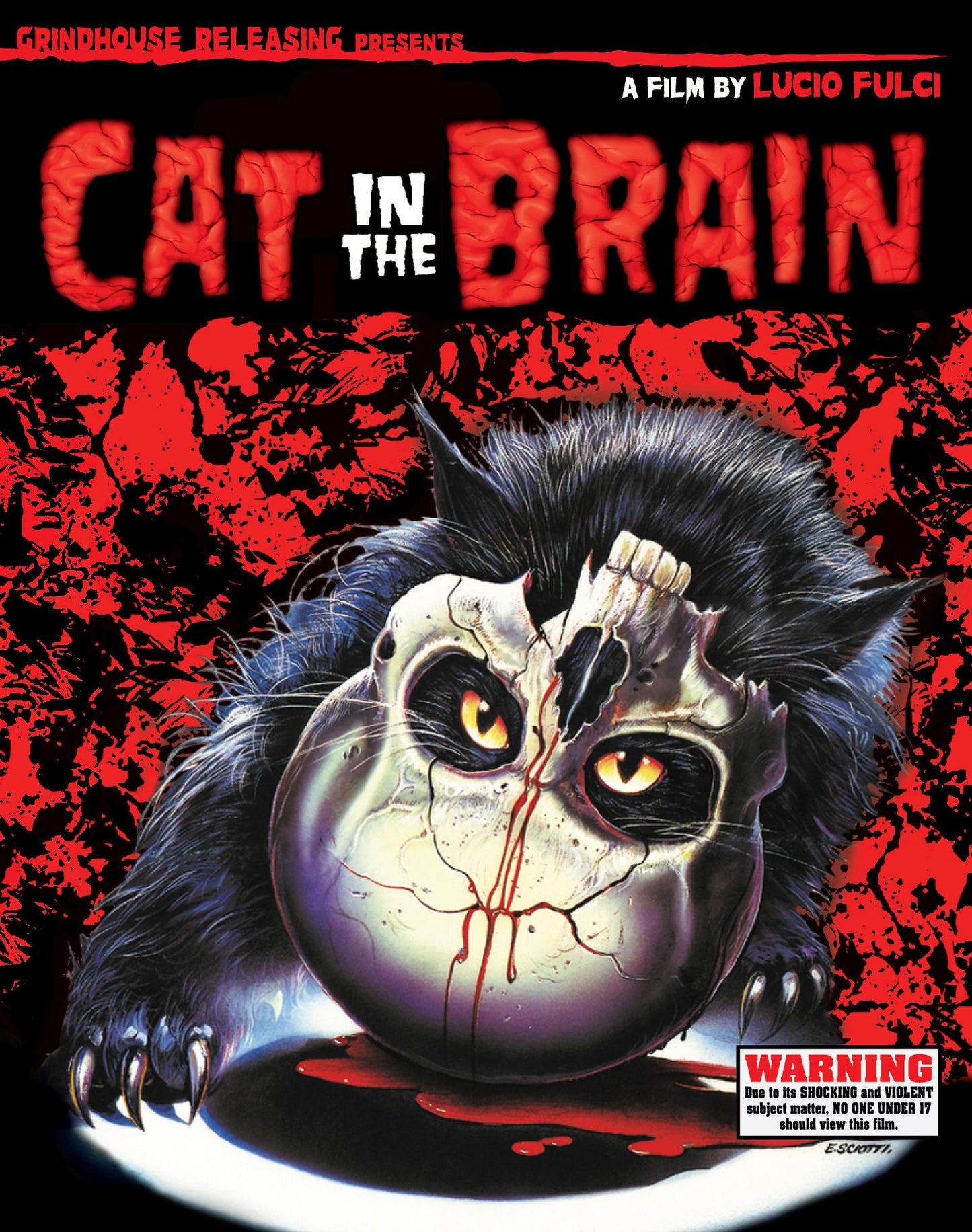 Cat In The Brain Limited Edition Grindhouse Releasing Blu-Ray/CD [NEW] [SLIPCOVER]