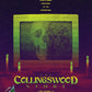 The Collingswood Story Cauldron Films Blu-Ray [NEW]