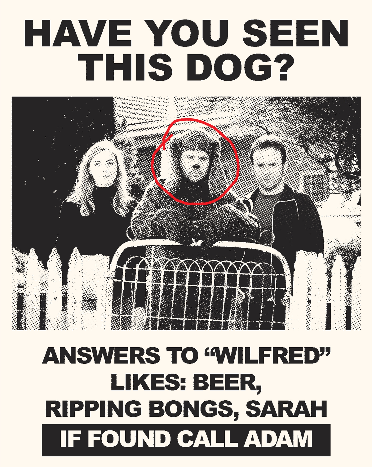 Wilfred: Complete Series I & II Collector's Edition