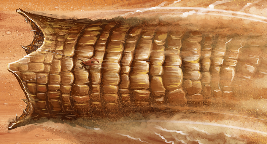 Frank Herberts Dune & Children of Dune Collector's Edition (2000, 2003)  (Blu-Ray +Brick Set +Rigid Case +Book +Artcards +Poster)