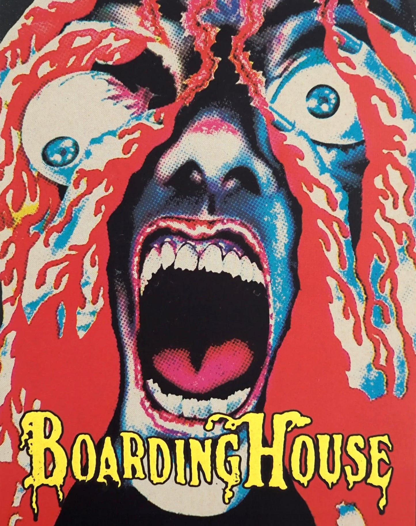 Boardinghouse Limited Edition AGFA Blu-Ray [NEW] [SLIPCOVER]