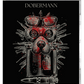 New Extremity Collection Volume 2 (1997, 2001, 2002, 2003) Blu-ray Collector's Edition