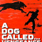 A Dog Called...Vengeance Severin Films Blu-Ray [NEW]