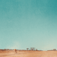 Wake In Fright (1971) 4K & Blu-ray Collector's Edition