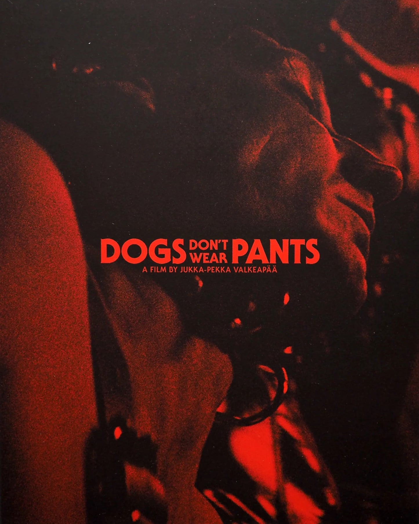 Dogs Don't Wear Pants Limited Edition Yellow Veil Pictures Blu-Ray [NEW] [SLIPCOVER]