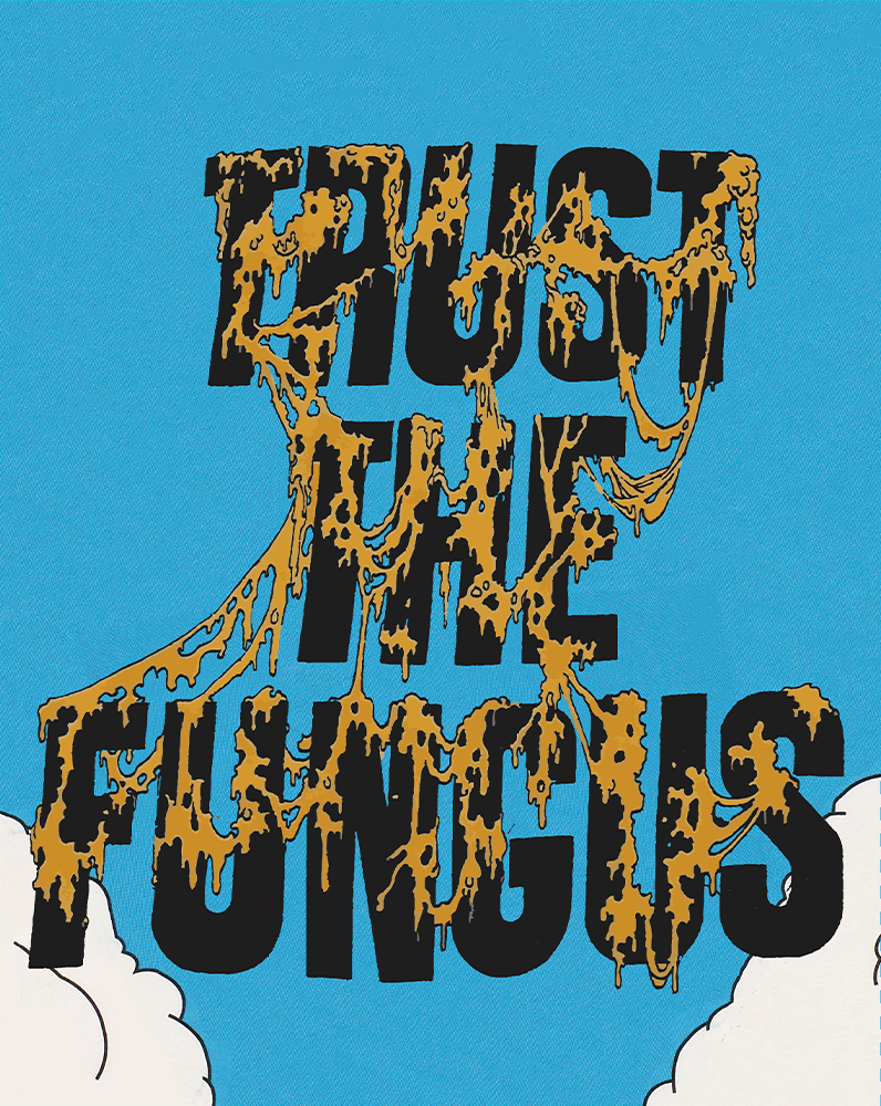 1UP - Super Mario Bros. 30th Anniversary Collector's Edition (3 Disc - 4K UHD + 2 Blu-Rays +Books +Posters +Artcards +Slipcase +Rigid Case) (1993)